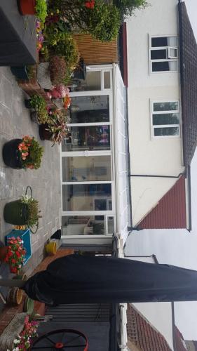 IMG-20210302-WA0077